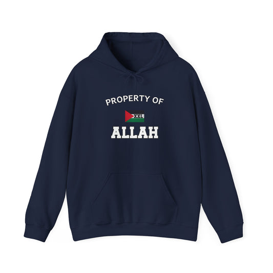 Property of Allah Hoodie