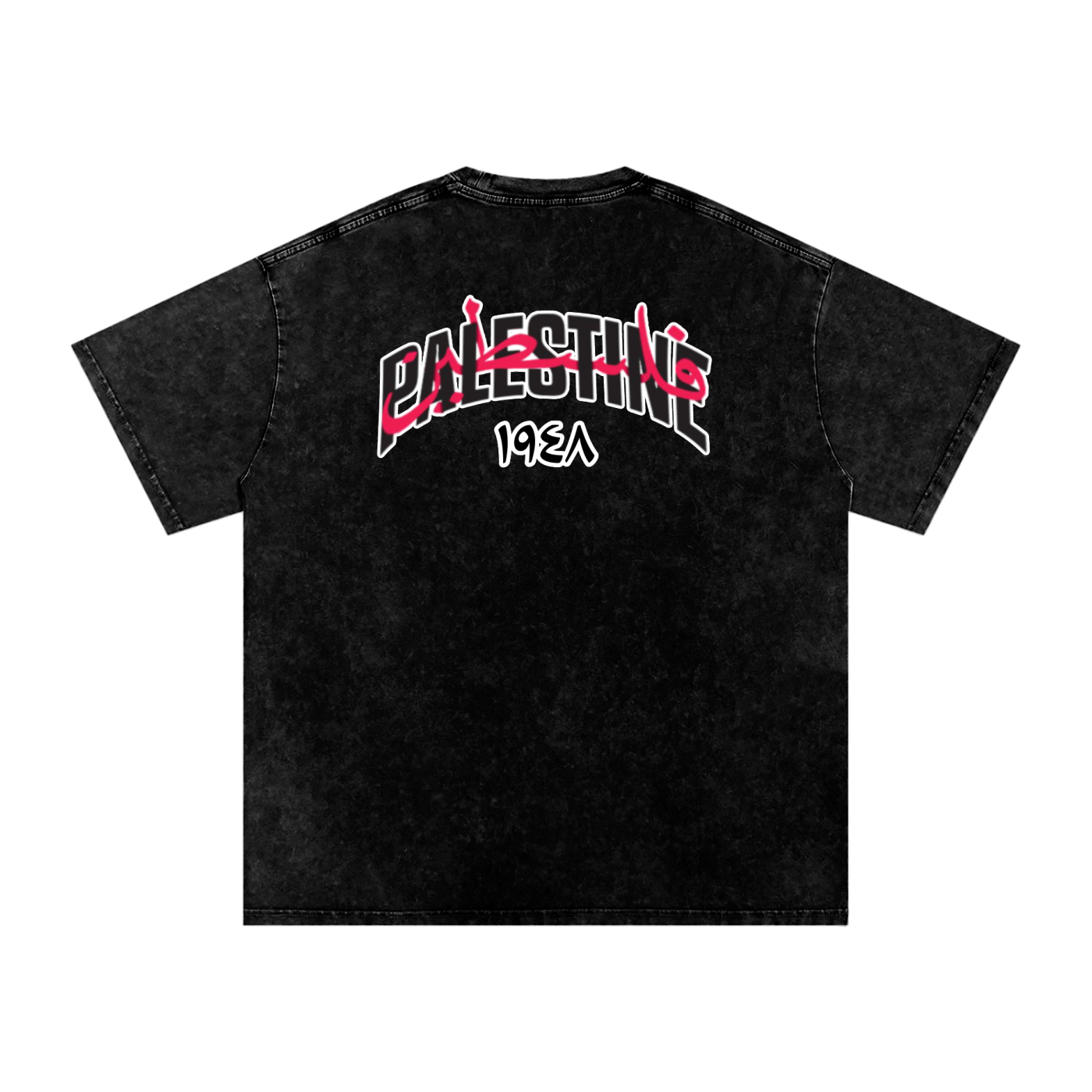 Palestine 1948 Oversized Washed T